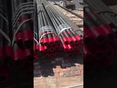 Junção do filhote de cachorro